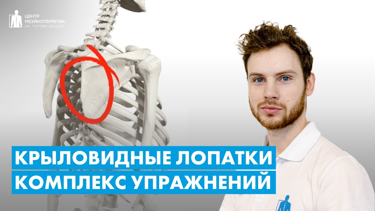 Торчат лопатки? Как исправить? Упражнения для крыловидных лопаток и осанки для детей и взрослых