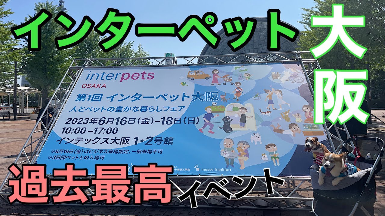 関西初開催のインターペットが物凄いことに！！