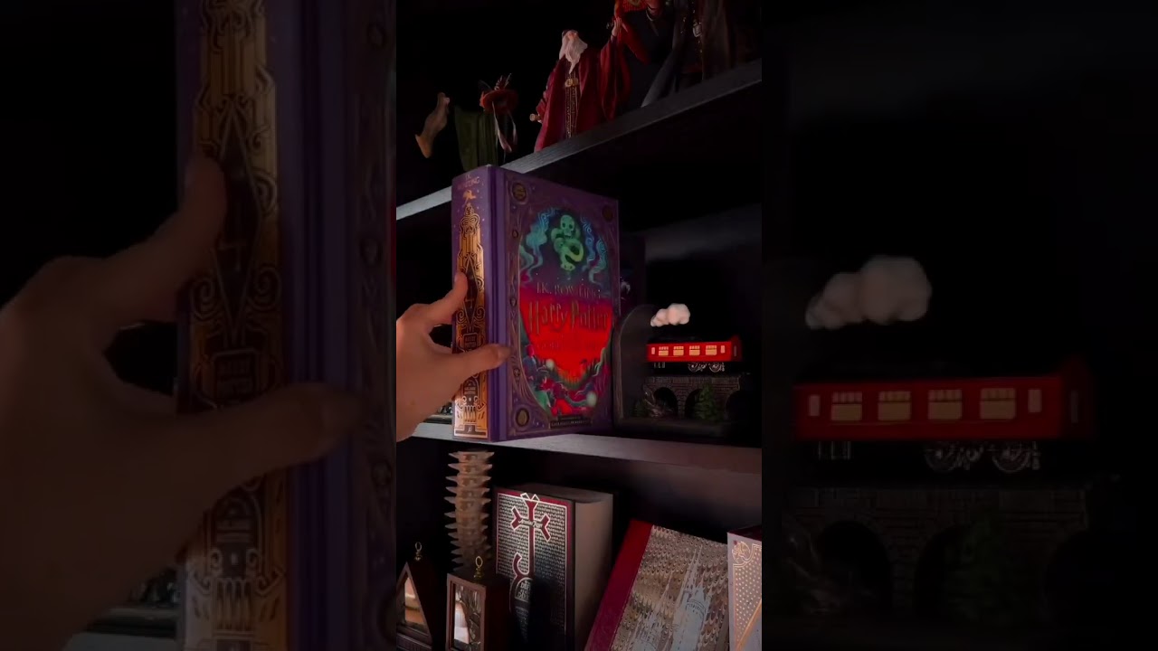 ✨The Harry Potter Interactive Illustrated Editions ✨