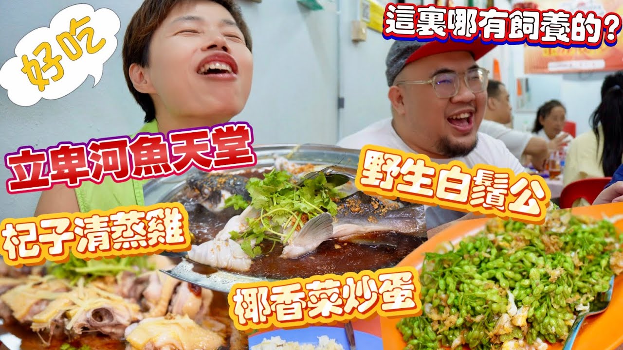 【Lipis Food】Restaurant Shi Jia Lou | 彭亨州立卑 這個小地方 到底有什麼景點 野生河魚最馳名 [中文 ENG] #mangohk #移居