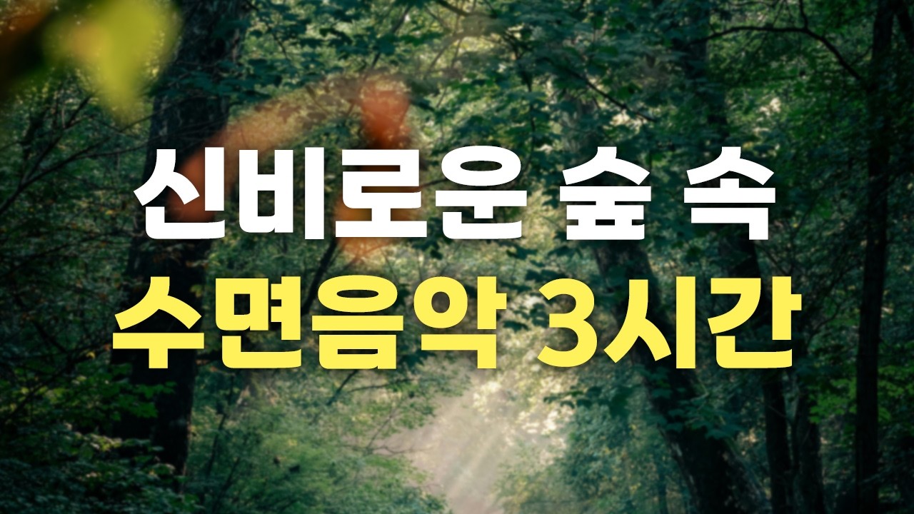🎵신비로운 숲 속 수면음악🎵 3시간 재생, 명상음악, 힐링음악, 휴식음악, 스파음악, 수면음악, 스트레스해소음악, Meditation, Sleep,Stress Relief
