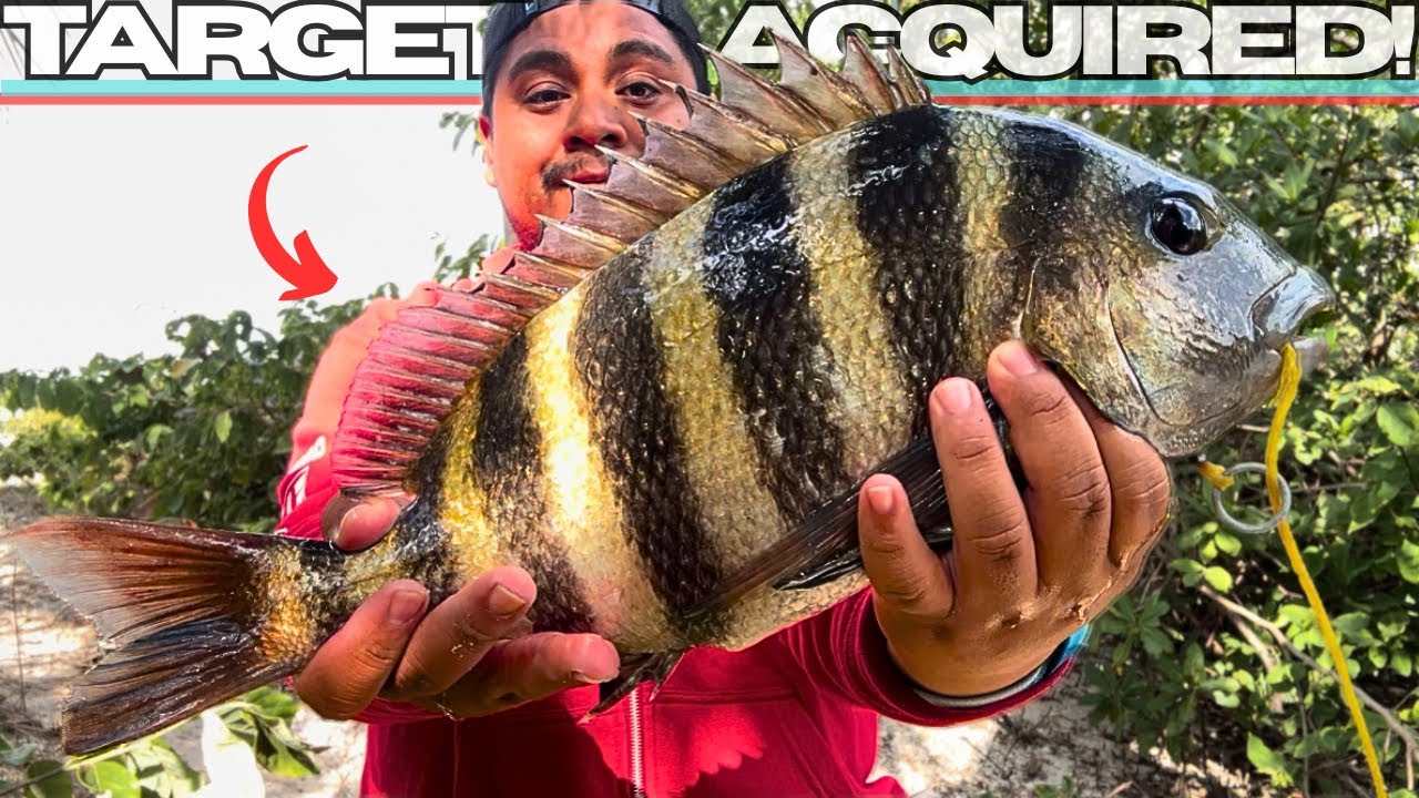 Я чуть было не ушла, но тут случилось ВОТ ЭТО! *ГИГАНТСКИЙ*