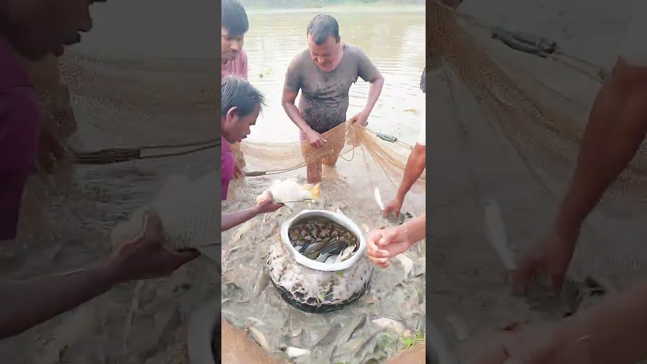সম্পূর্ণ ভিডিওটা দেখো তোমাদেরকে ভালো লাগবে 🤗
