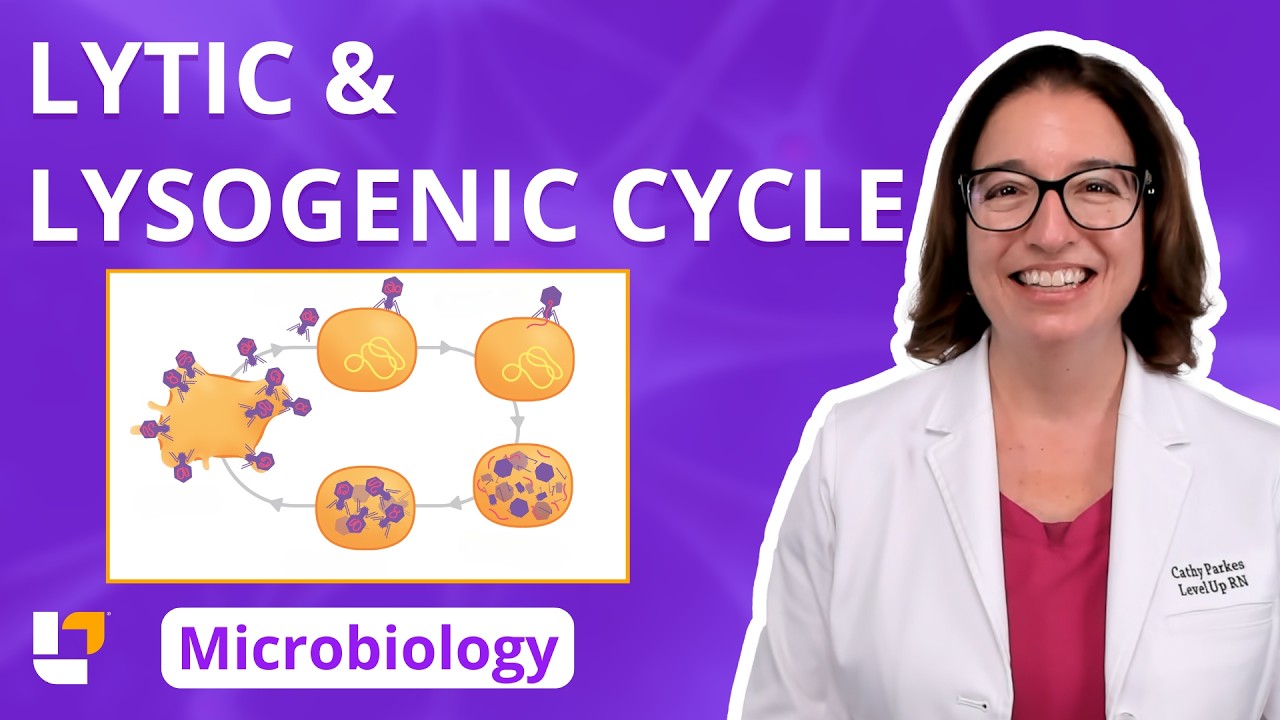 Lytic & Lysogenic Cycle: Microbiology Acellular for Pre-Nursing / Med Students | @LevelUpRN