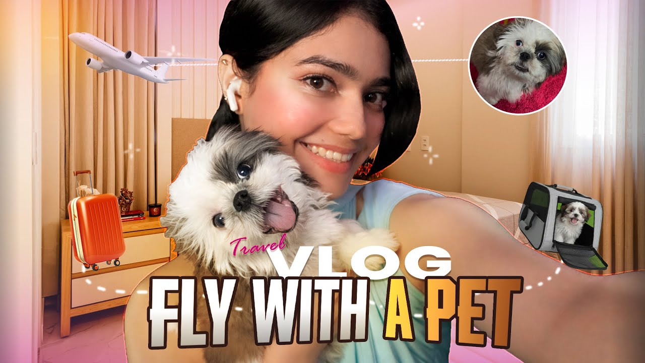 Fly With Pet Vlog ❤️🐶 Air Travel With Eve  #vlog #pets #travel 