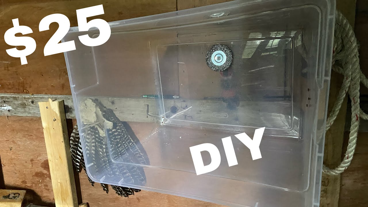 DIY $25 Taxidermy Bird Flesher