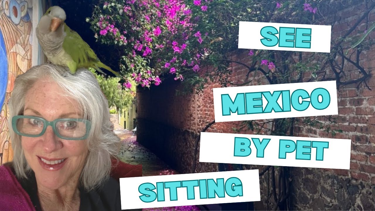How I Lived in San Miguel - For Free!