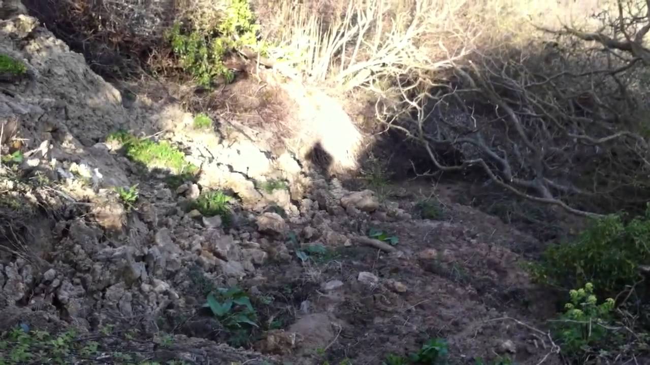 Ecclesbourne Glen landslip - the mid section _HD_ April 02 2014.