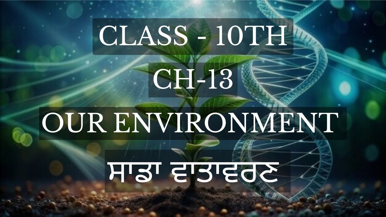 Science; ch-13 (our environment) punjabi and English medium for cbse and PSEB board