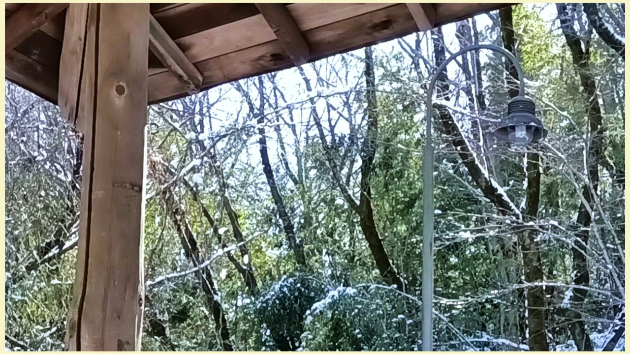Winter Shelter in a Japanese Park — Snowy Trees & Soft Sunlight (30 min)