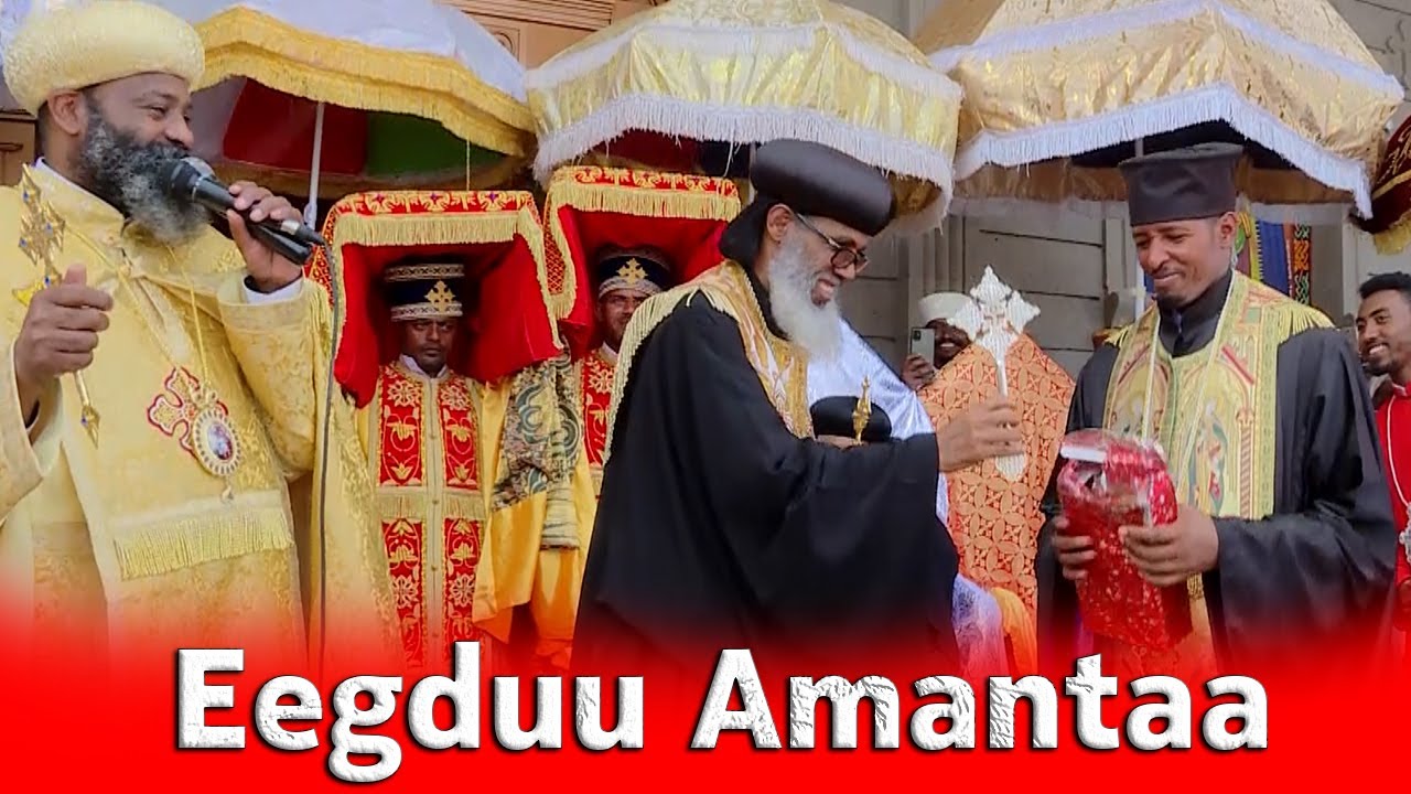 EOTC TV | Oromiffa progeram | Eegduu Amantaa