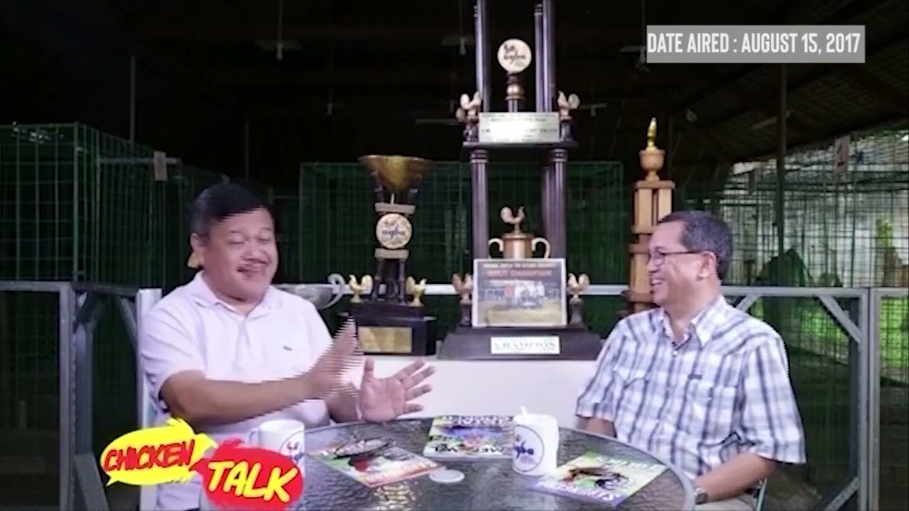 CHICKEN TALK 018 BOY VELEZ  - SUPERVEL GAMEFARM