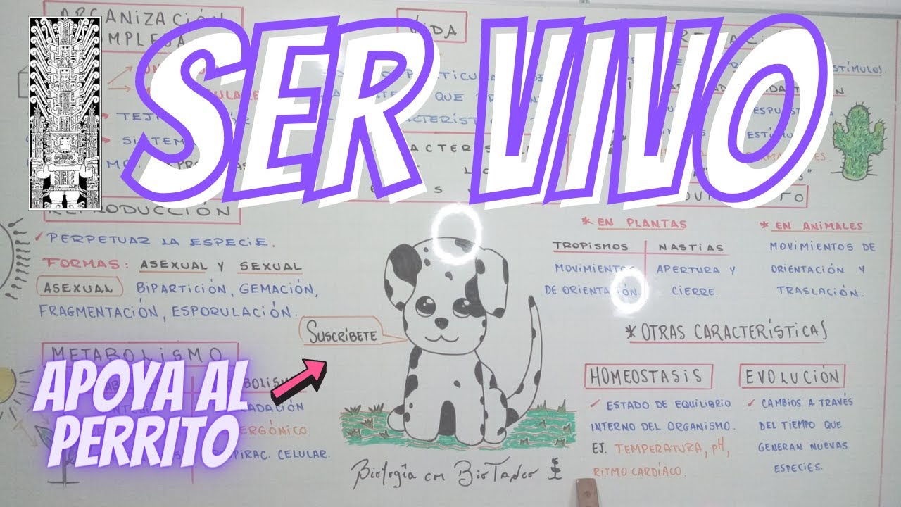 REPASO UNFV - CEPREVI - SER VIVO