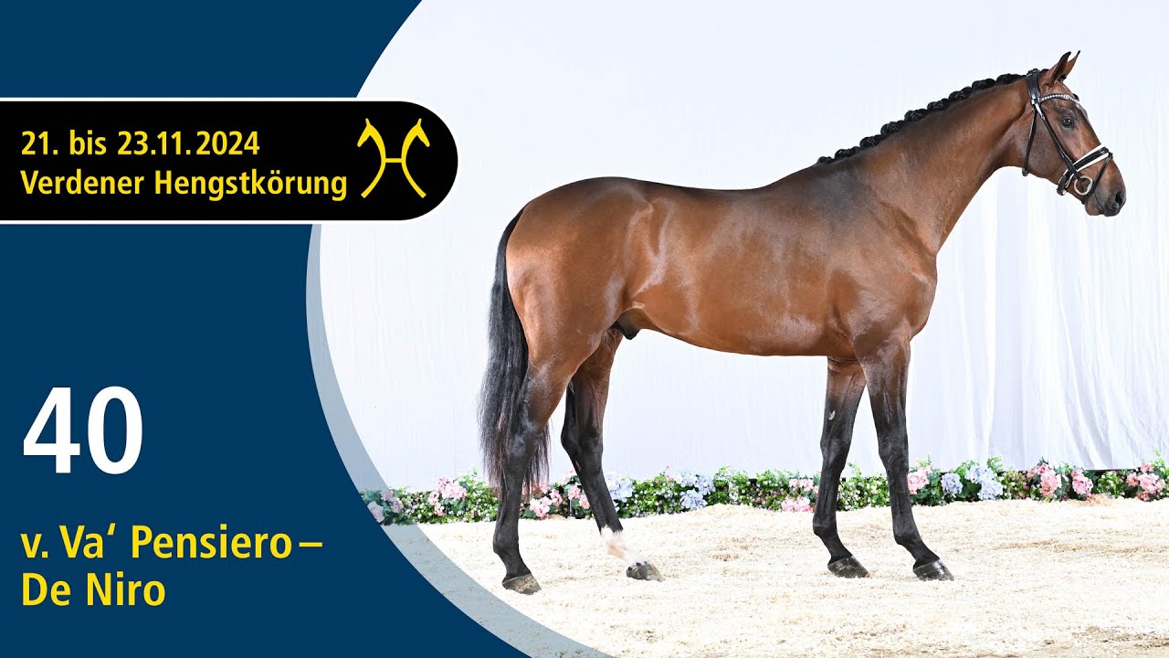 No. 40 Stallion by Va' Pensiero - De Niro | Verden Stallion Licensing 2024 - Dressage - Nov. 22/23