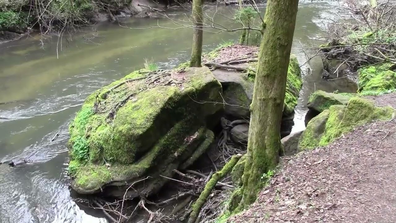 Schwarzachklamm