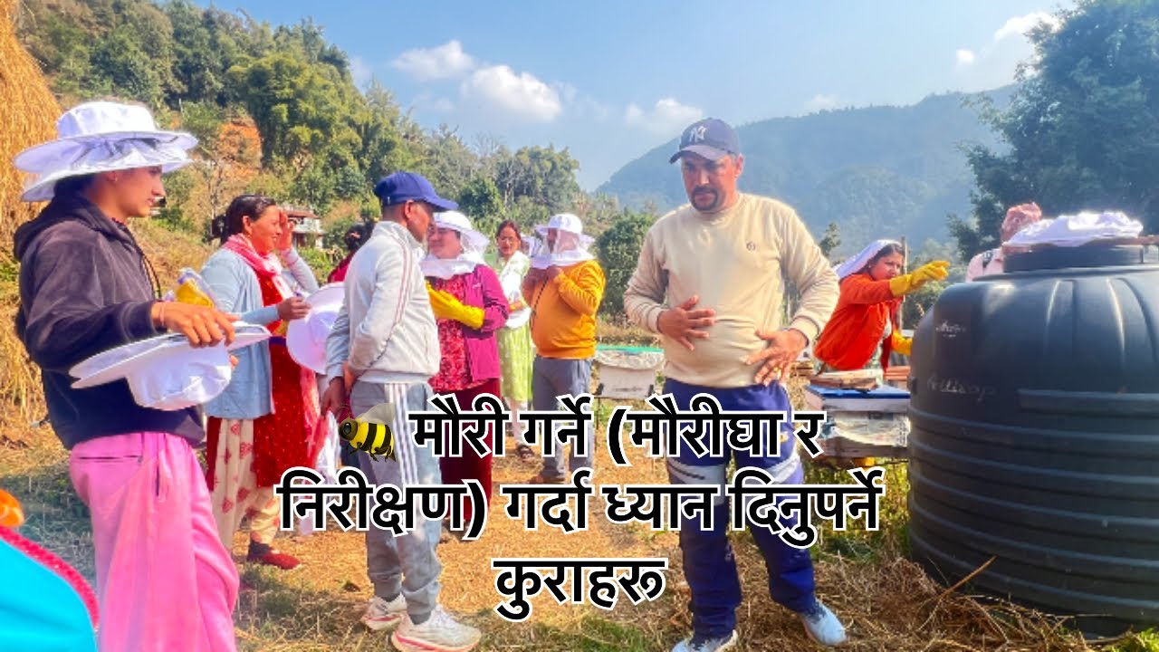 मौरी घर हेर्ने तरिका