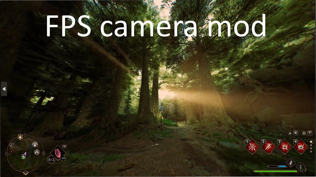 Hogwarts legacy first person camera (FPS) mod for PC