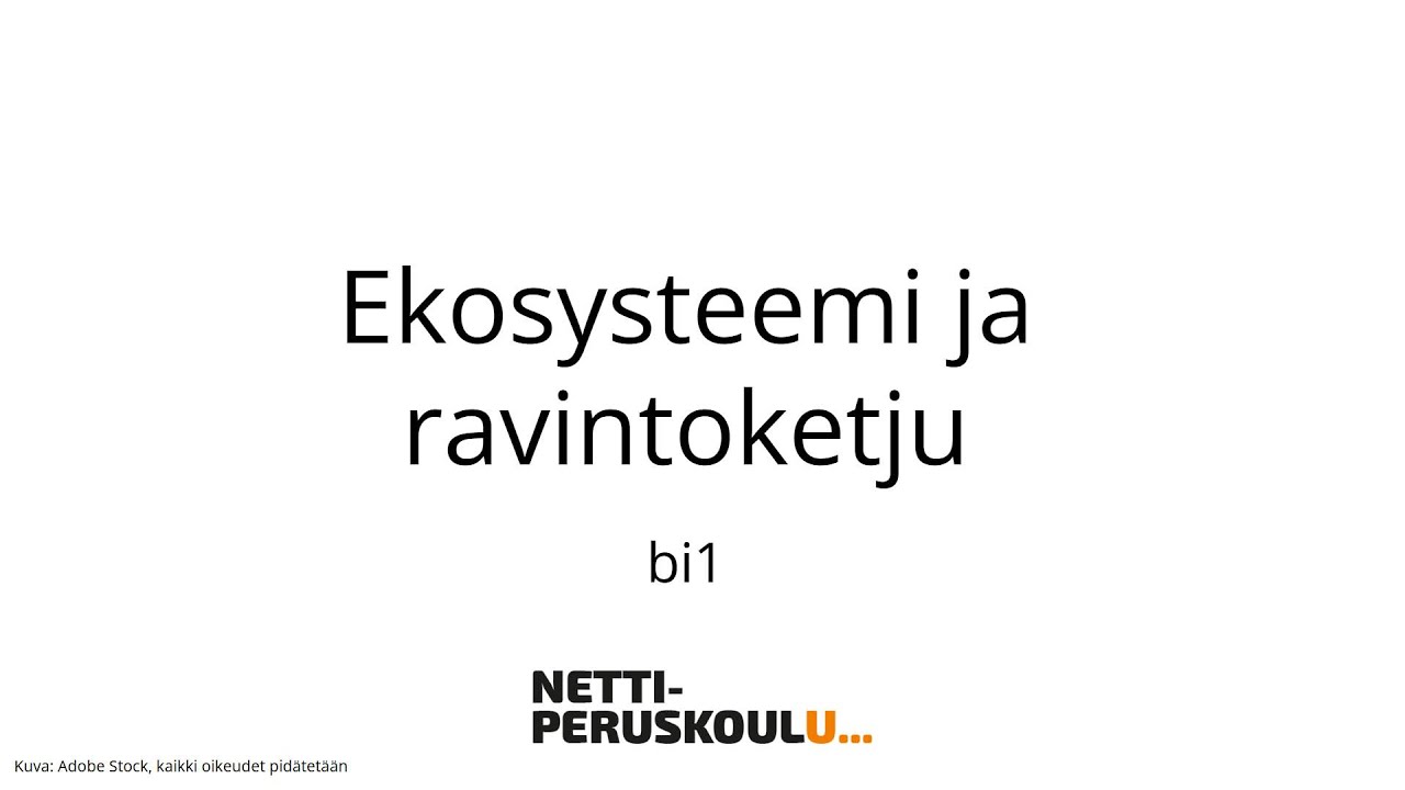 Biologia: Ekosysteemi ja ravintoketju (perusopetus)