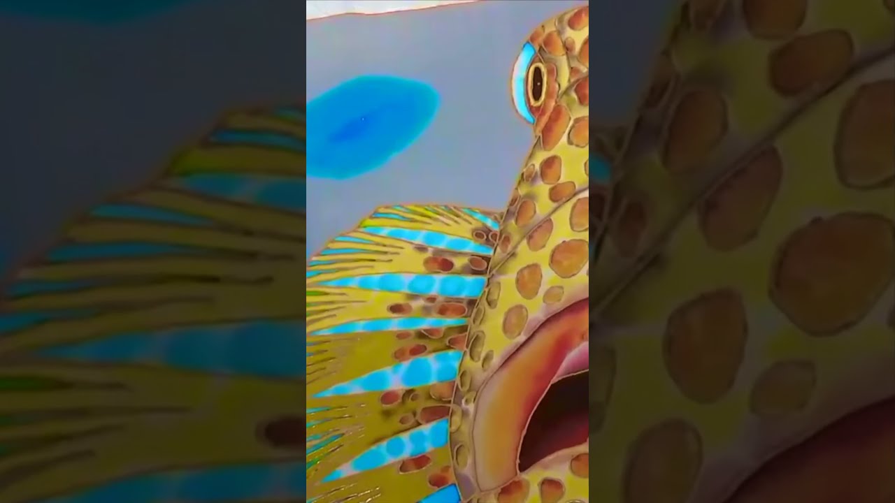Jean-Baptiste silk Painting | TIGER GROUPER SHORT ART VIDEO