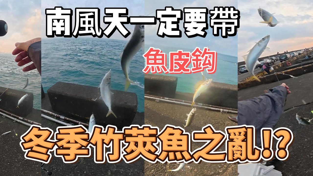 台中港北堤 魚皮鈎大中小號都準備,什麼魚都能搞定,餌魚午魚竹莢魚....#fishing #釣り #어업 #ตกปลา #pangingisda #釣魚