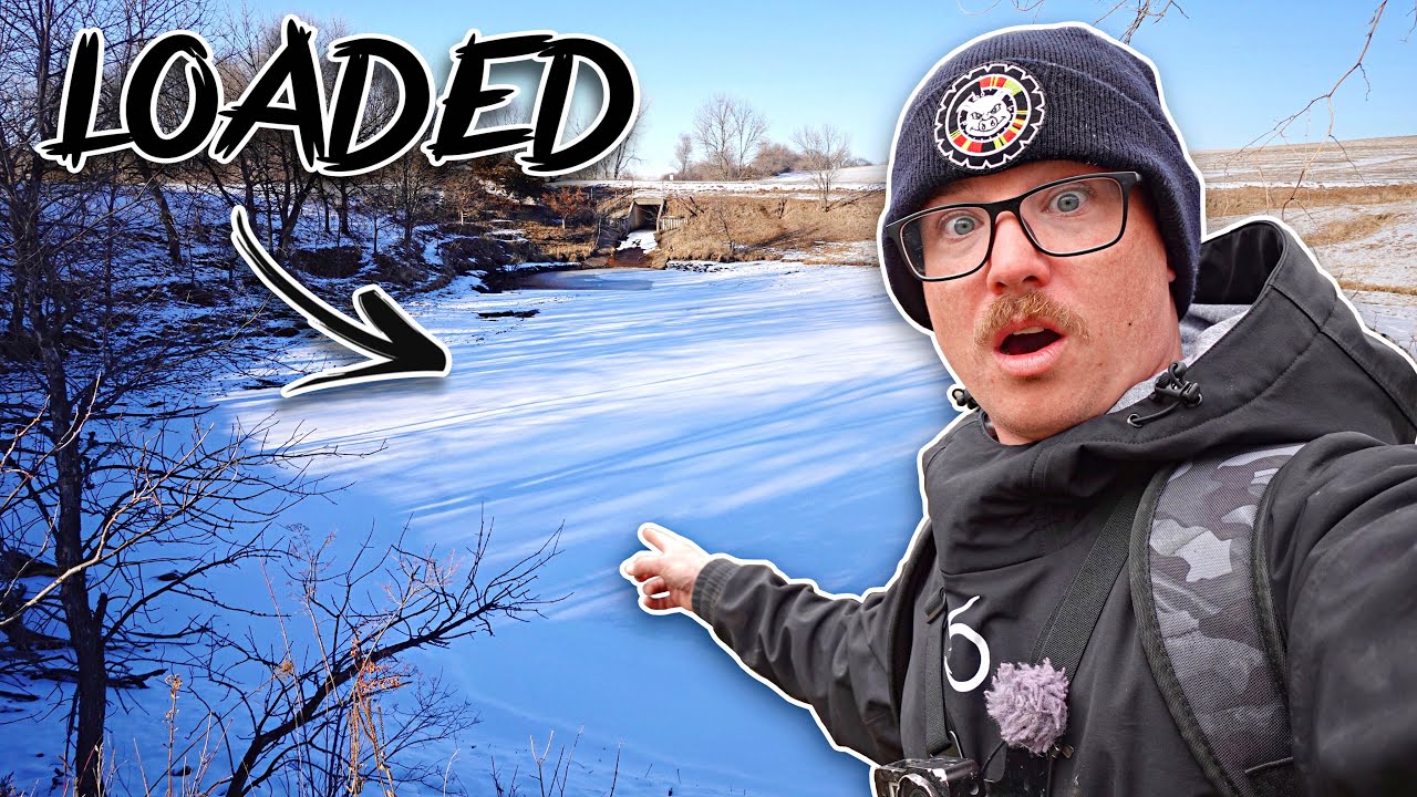 I CAN'T BELIEVE The Schools In This TINY FARM POND!!! (Multi-Species Ice Fishing)