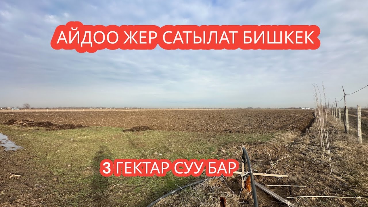 АЙДОО ЖЕР САТЫЛАТ БИШКЕК 2024