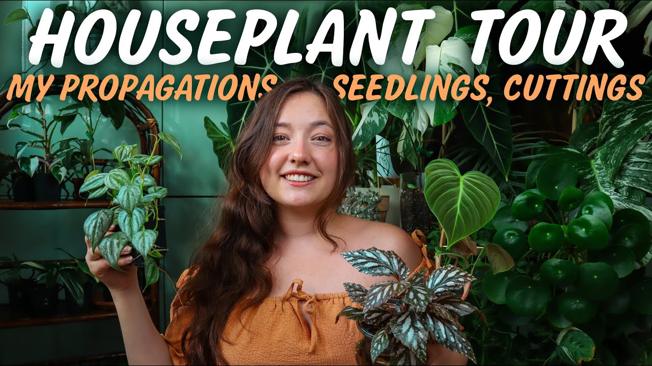 INDOOR PLANT TOUR |🌿 My entire Propagation Collection