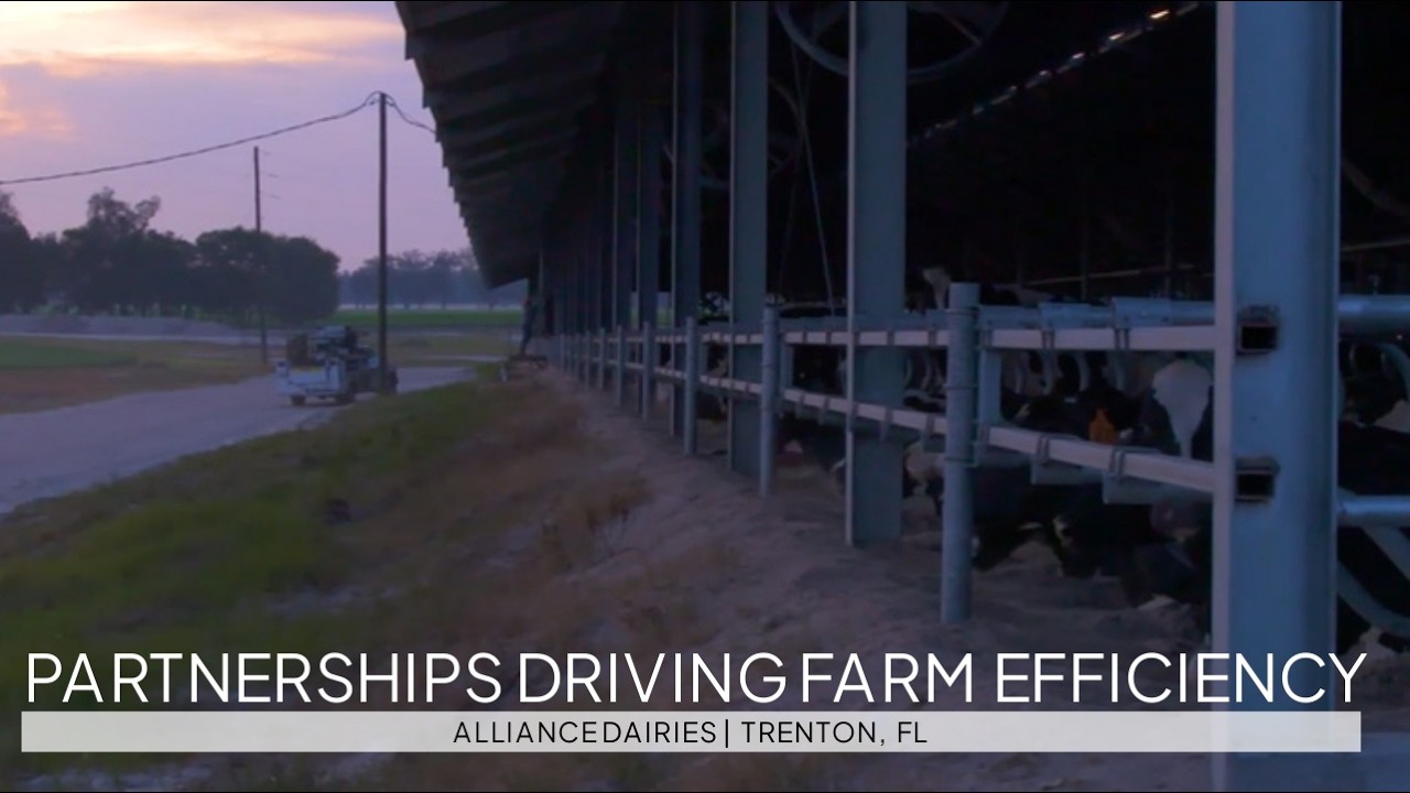 Dairy Sustainability Partnership Driving Farm Efficiency