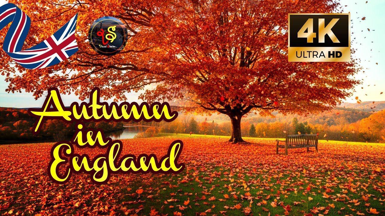 Beautiful Autumn in England 4K video | Scenic walk | England | UK