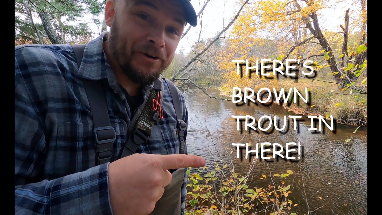 Fishing for BROWN TROUT on the fly at the CORNWALLIS RIVER Episode 4 of 4 - A Fall fishing adventure