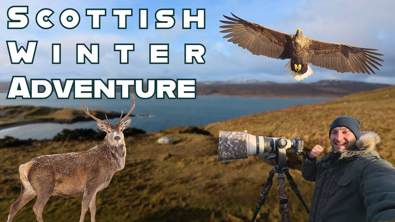All the way north: Divers, Otters & Eagles!