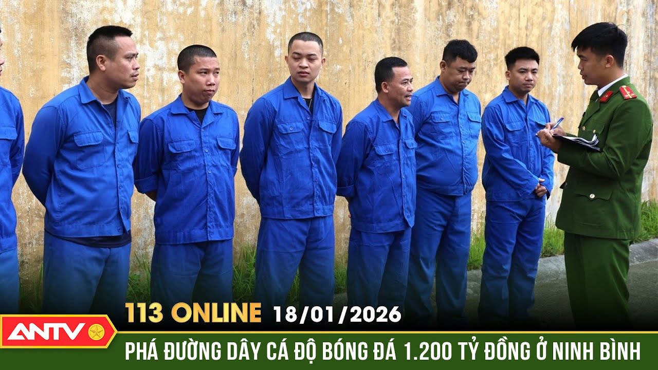 Bản tin 113 online ng&agrave;y 18/1: Giang hồ Việt B&agrave;i đường d&acirc;y c&aacute; độ 1.200 tỷ đồng ở Ninh B&igrave;nh | ANTV