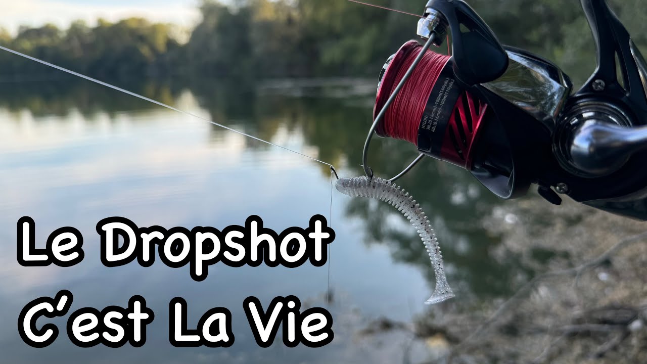 Pêche en dropshot 