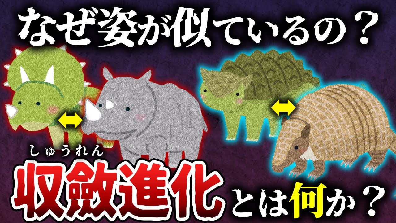 【ゆっくり解説】なぜ見た目が似るのか？収斂進化の謎としくみ