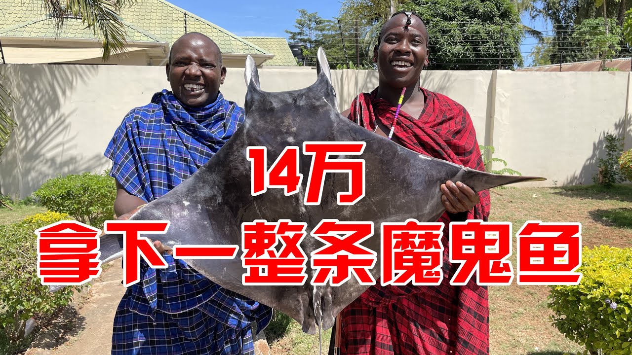 花14万拿下一整条魔鬼鱼，非洲保镖都说我疯啦，这东西谁敢吃啊？