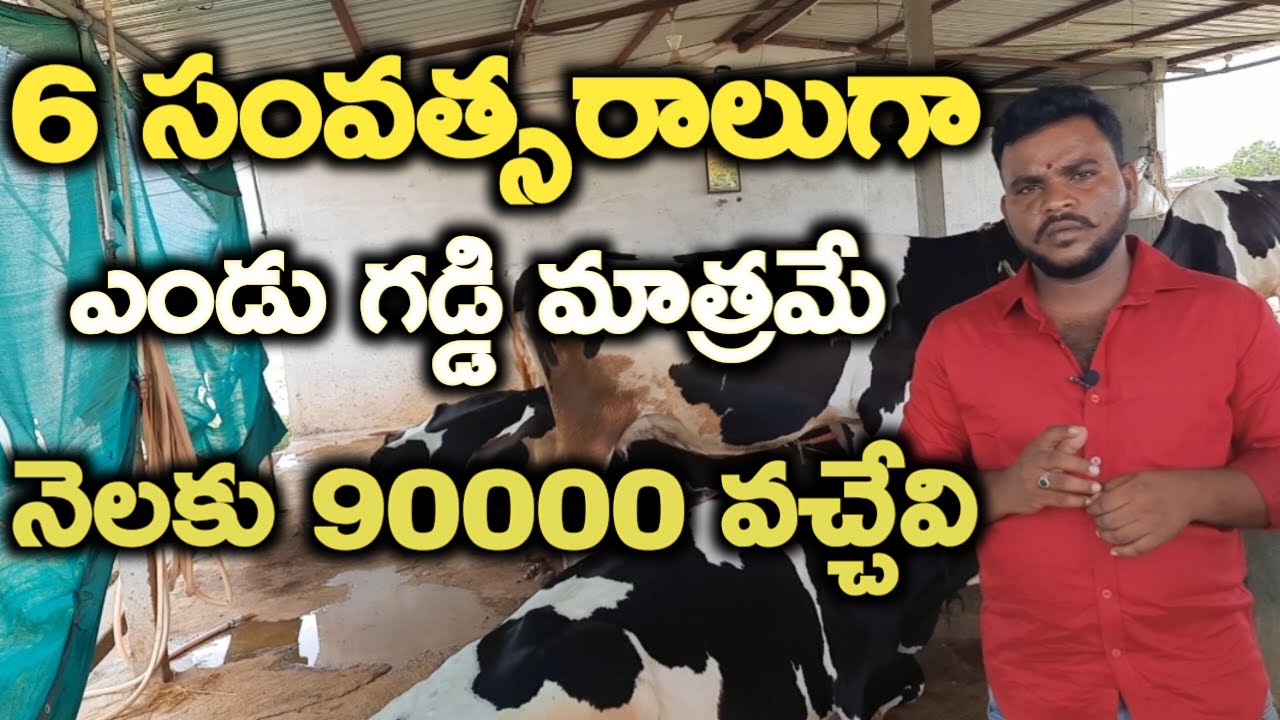 6 సంవత్సరాలుగా ఎండు గడ్డి ఉపయోగిస్తున్న @MalleshAdla