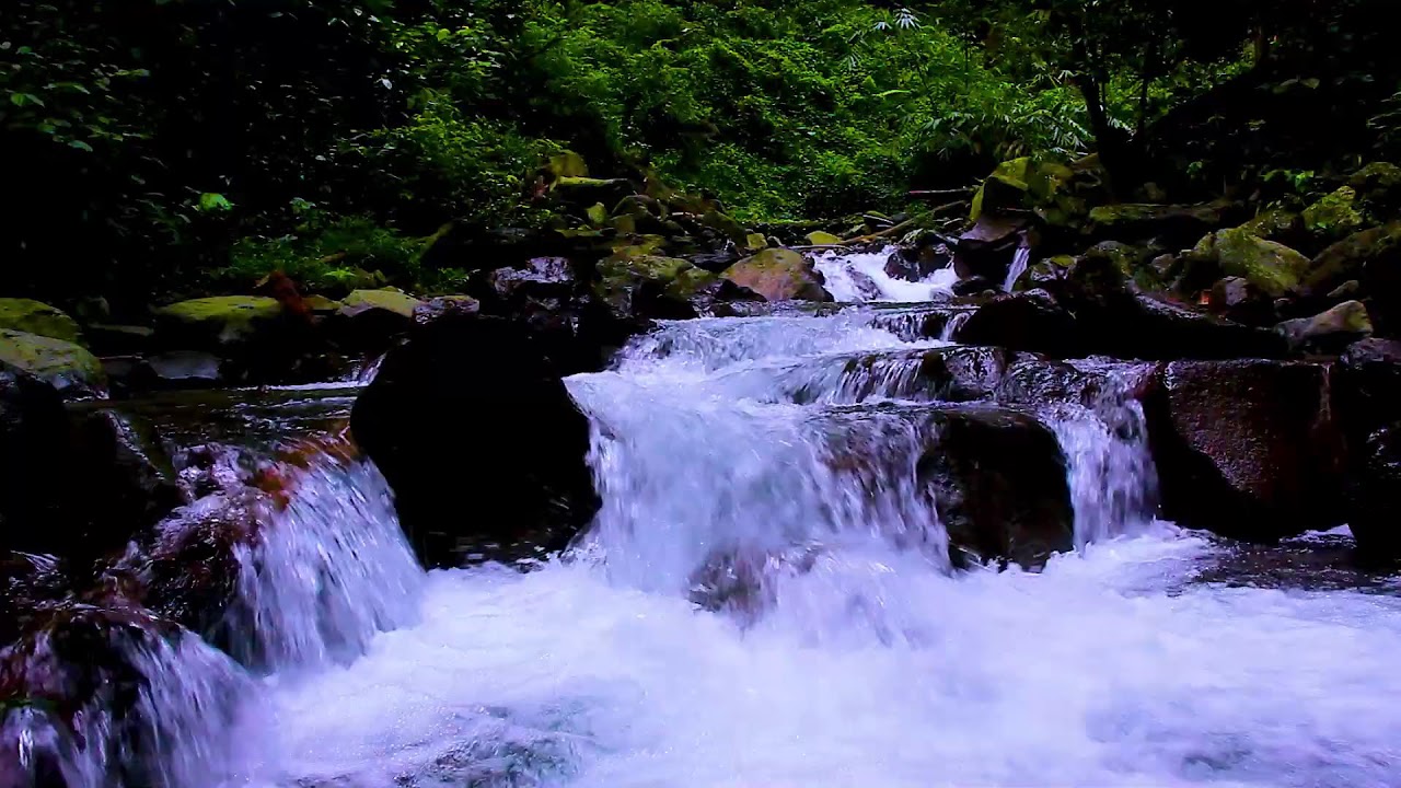 Peaceful Mountain Water Stream | 10 Hours Relaxing Nature Sounds for Sleep