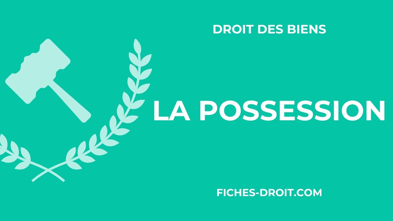 La possession : d&eacute;finition, &eacute;l&eacute;ments constitutifs et conditions