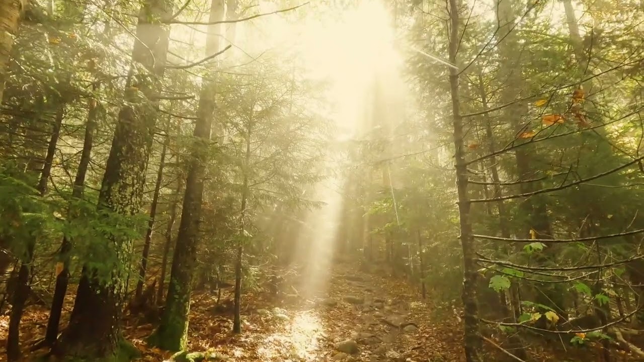 Mt Pisgah - Magical Adventure in Vermont (Sep 2025)