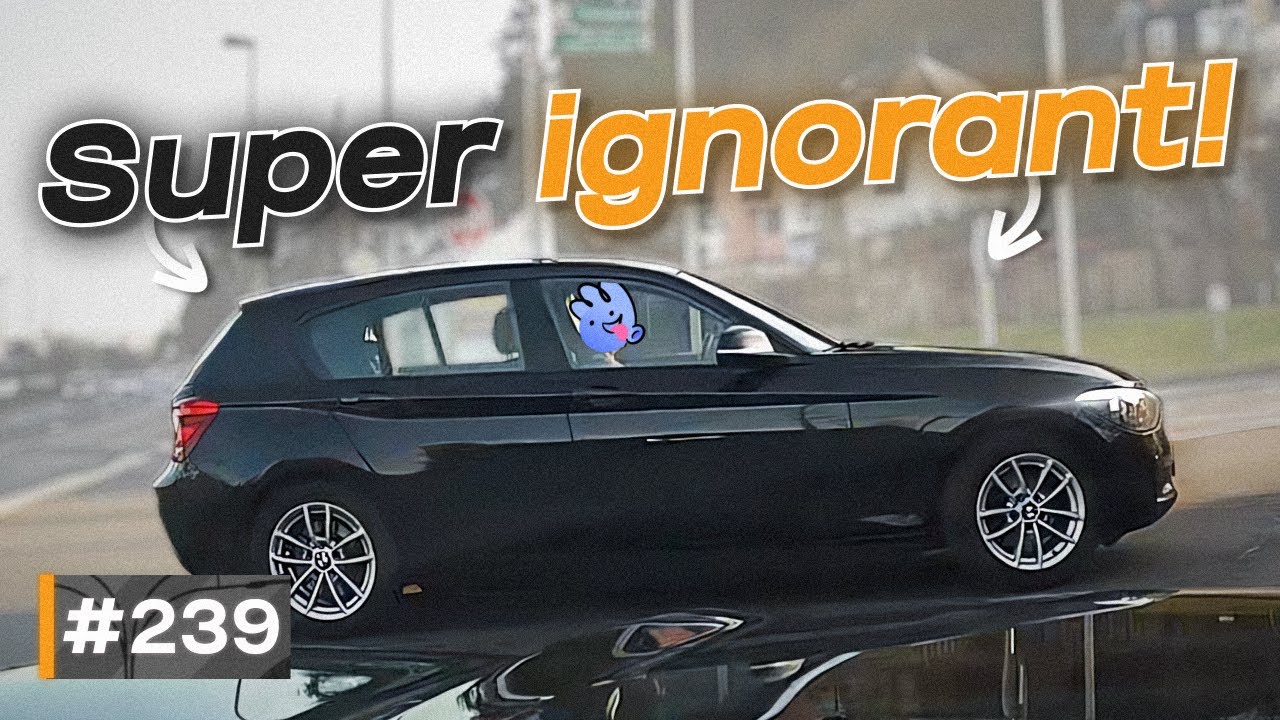 Irre Überholmanöver, Funken auf Autobahn und wortwörtliche 💩-Aktionen | #GERMAN #DASHCAM | #239