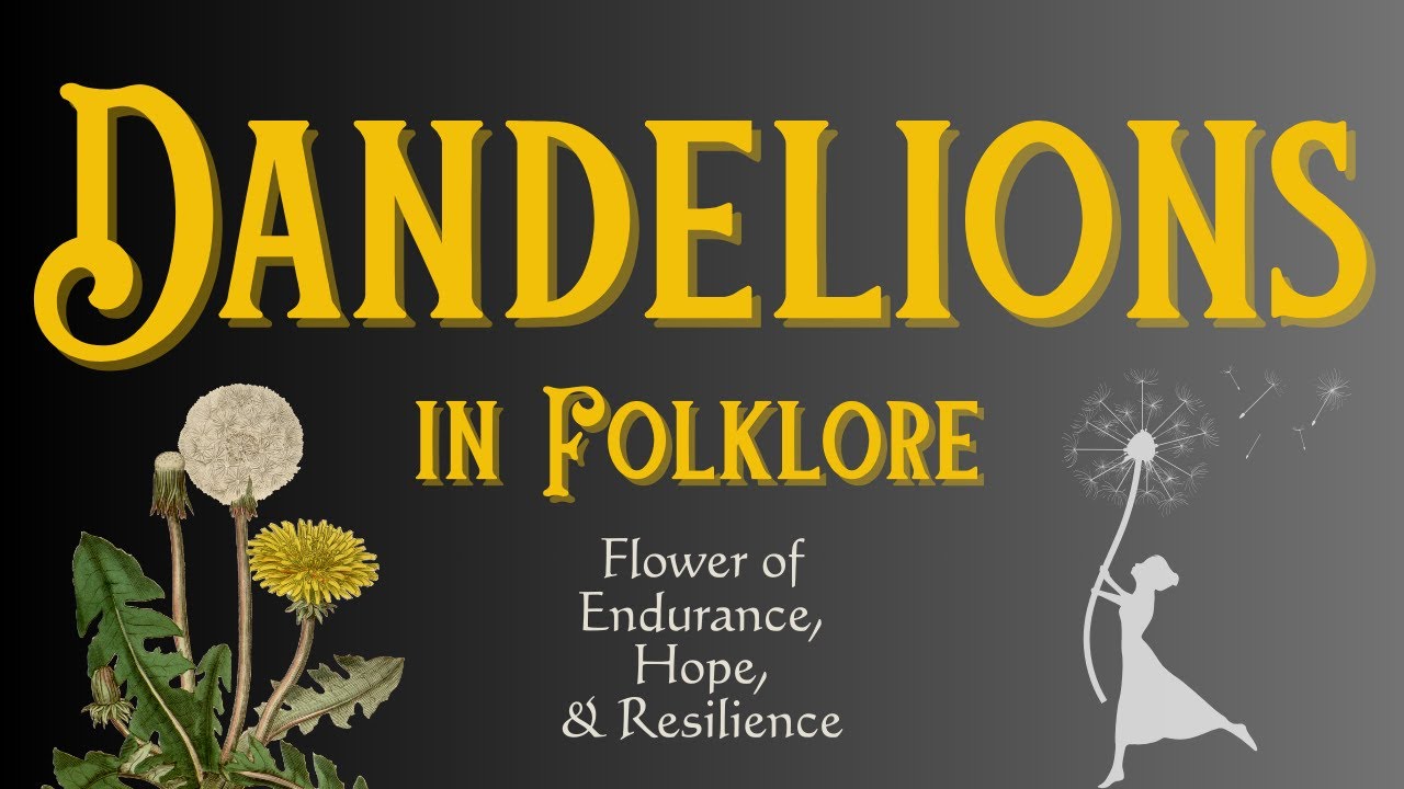 Dandelions in Folklore: Flower of Endurance, Hope & Resilience