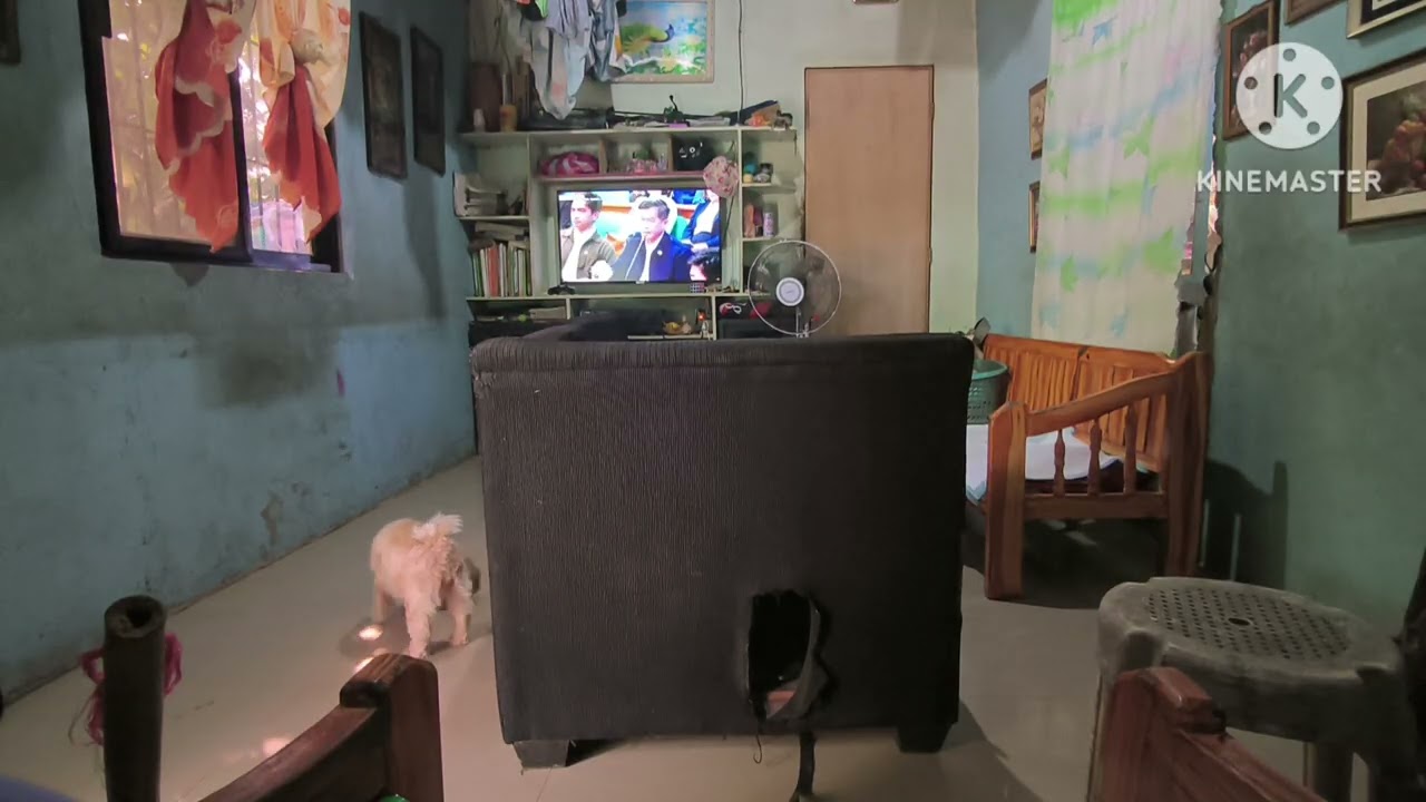 Housekeeping: Living Room