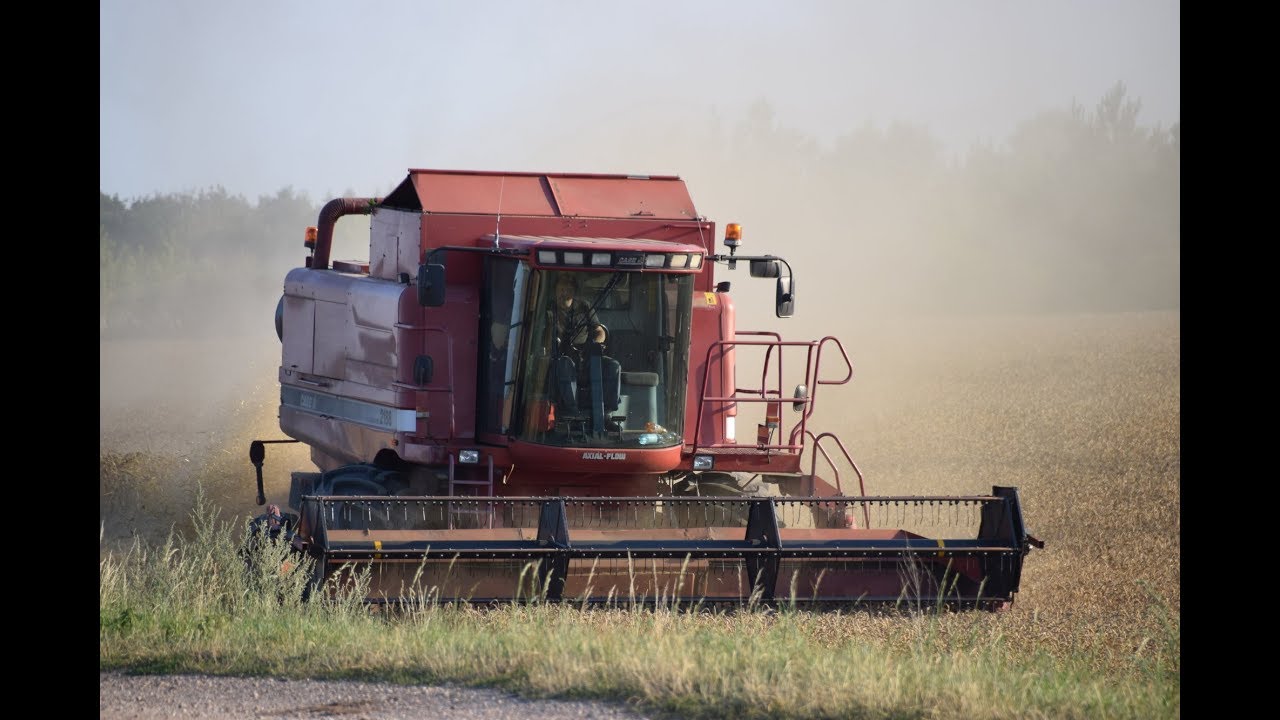 ŽNĚ 2018 | Poslední žně s partou | HARVEST 2018