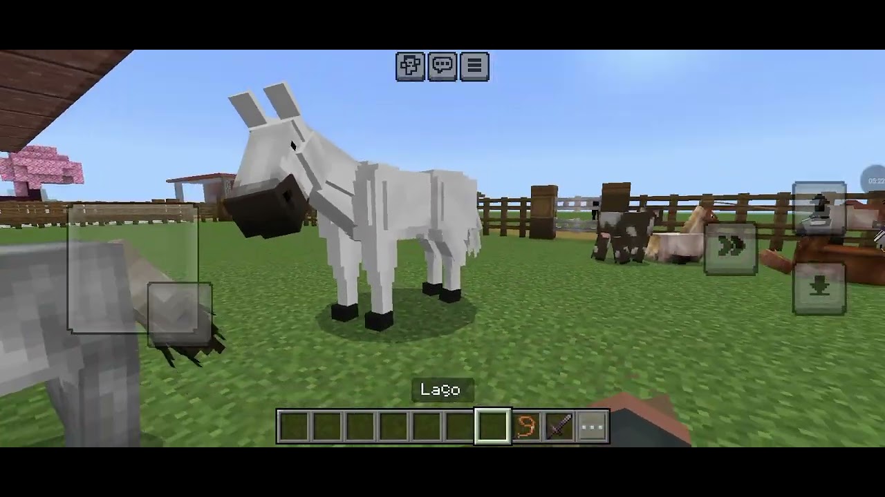Comprei éguas e cavalos novos