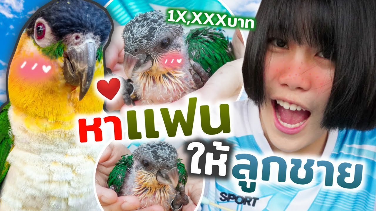 ซื้อนกเเก้วตัวไคท์ใหม่!!! มาเป็นเเฟนน้องโคบี้!!!