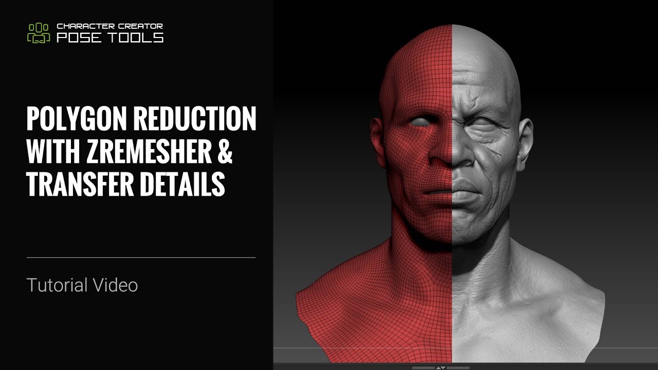 Polygon Reduction with ZRemesher & Transfer Details for CC AccuRIG | Pose Tools & Pose Link Tutorial