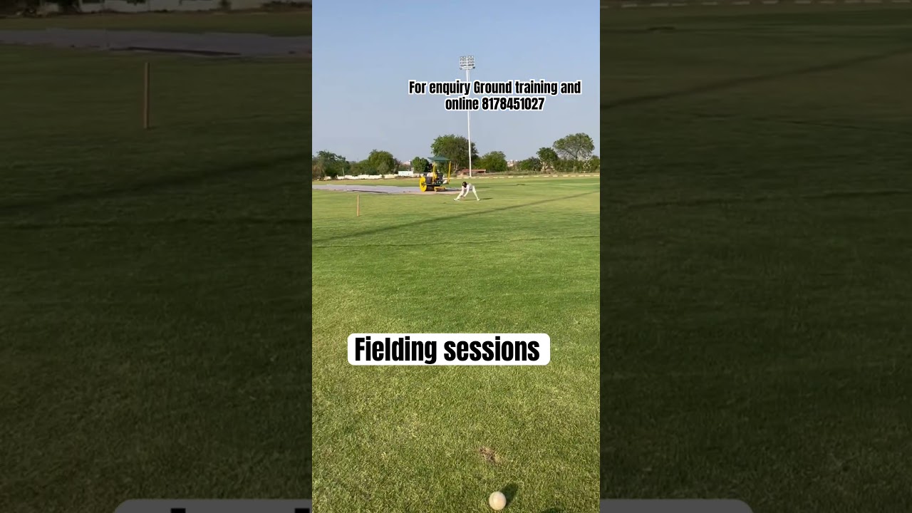 Session at Academy !! Cricket Academy !! Noida !! DYSCA !! Best Academy !! #highlights #ipl #cricket