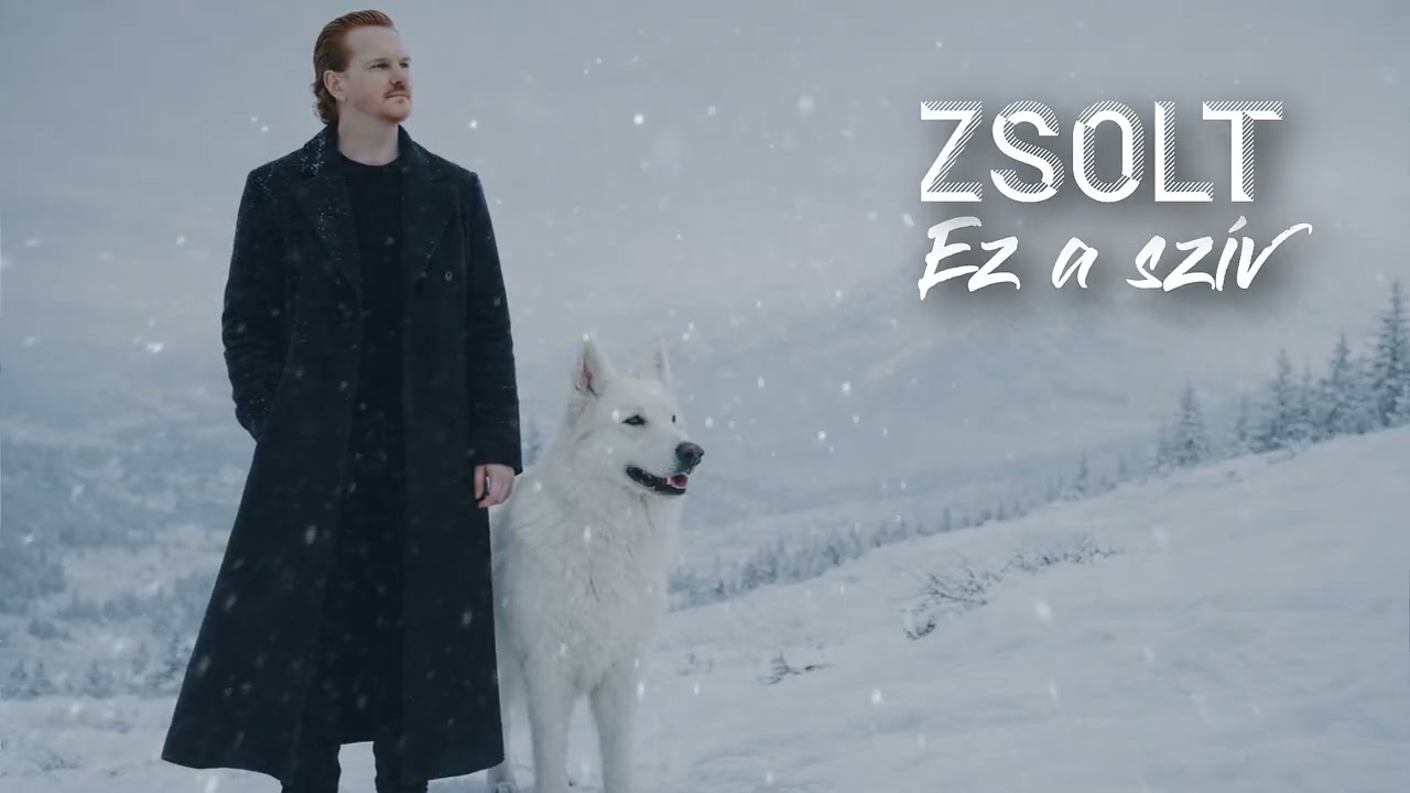 Zsolt - Ez a szív (2026 EDM RMX)