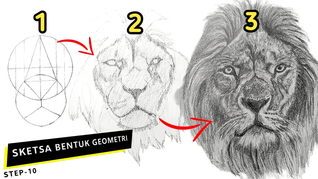 STEP-BY-STEP : MENGGAMBAR SINGA YANG BAGUS & MUDAH‼️