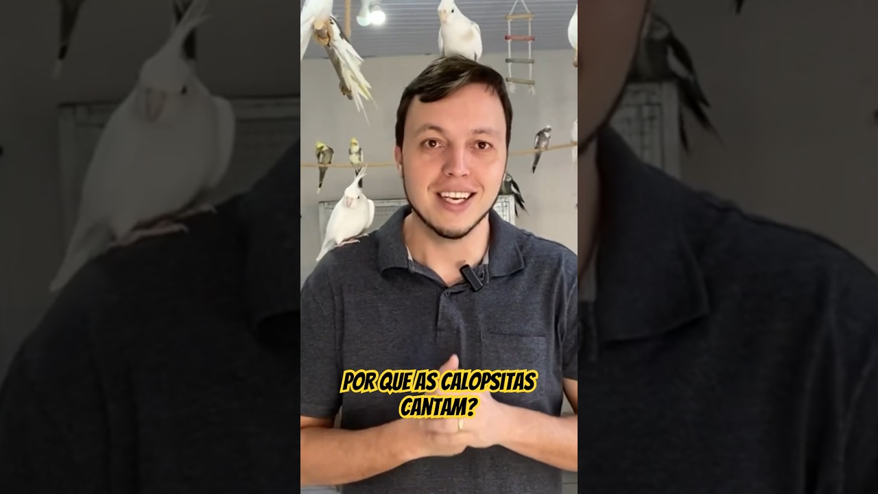 Por que as aves cantam?
